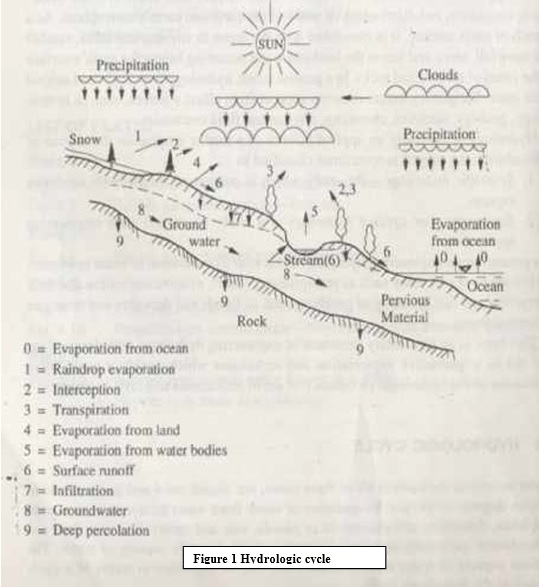 hydrologic-cycle-process-explained-in-detail